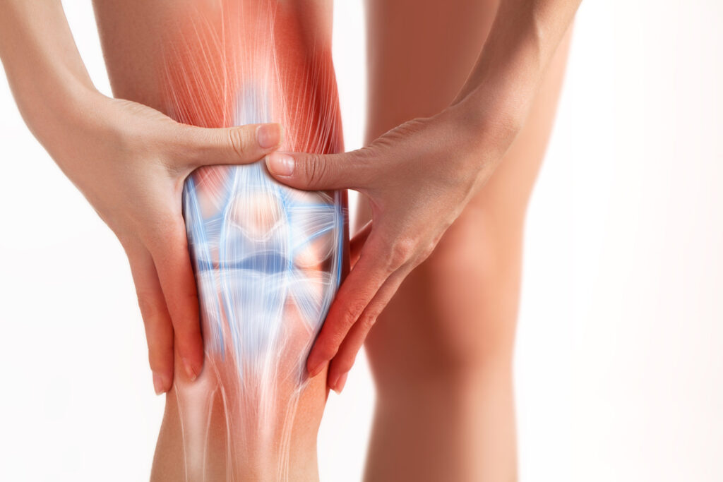 Knee ligament injury treatment