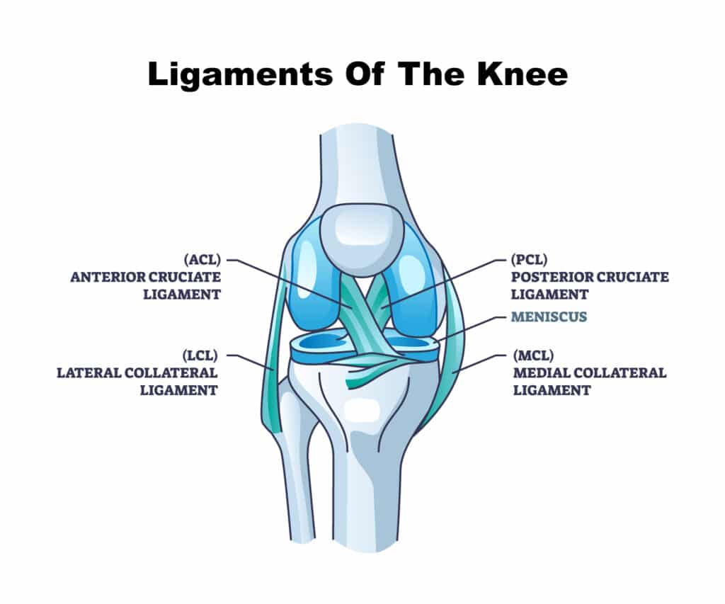 Knee ligament injury treatment